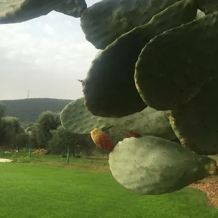 Masseria S.oronzo * Monopoli