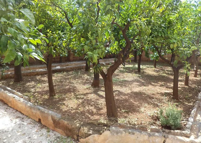 펜션 Masseria S.oronzo *