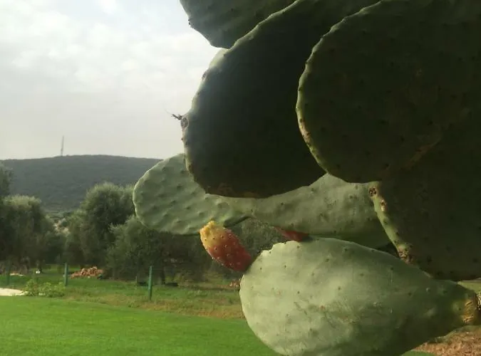 Masseria S.oronzo * 모노폴리